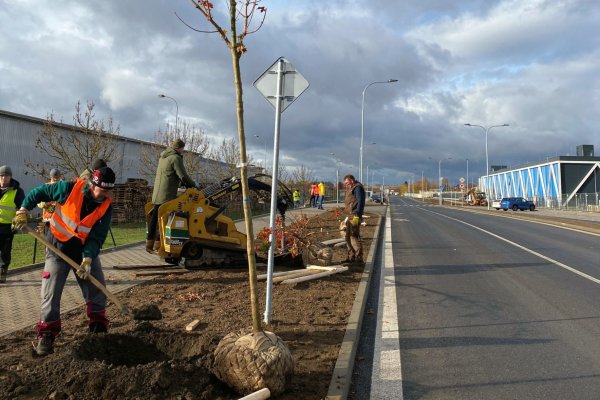 Investujeme do životního prostředí v Plzni
