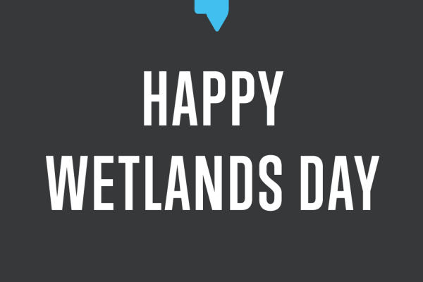 World Wetlands Day