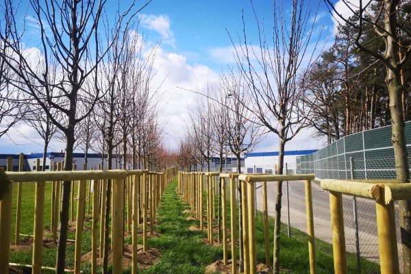 Take a deep breath, today we are celebrating the Arbor Day!